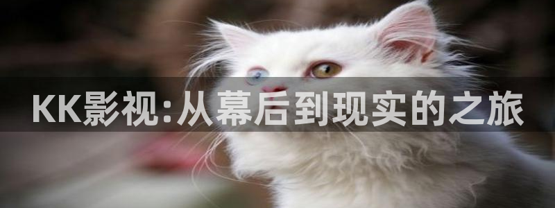 穿梭在韓國影視世界的小說：KK影視:從幕后到現實的之旅
